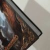 Regolamento (danno lieve) - immagine 4