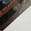 Regolamento (danno moderato) - immagine 2
