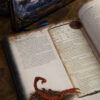 Gran Bestiario di Aventuria - immagine 4