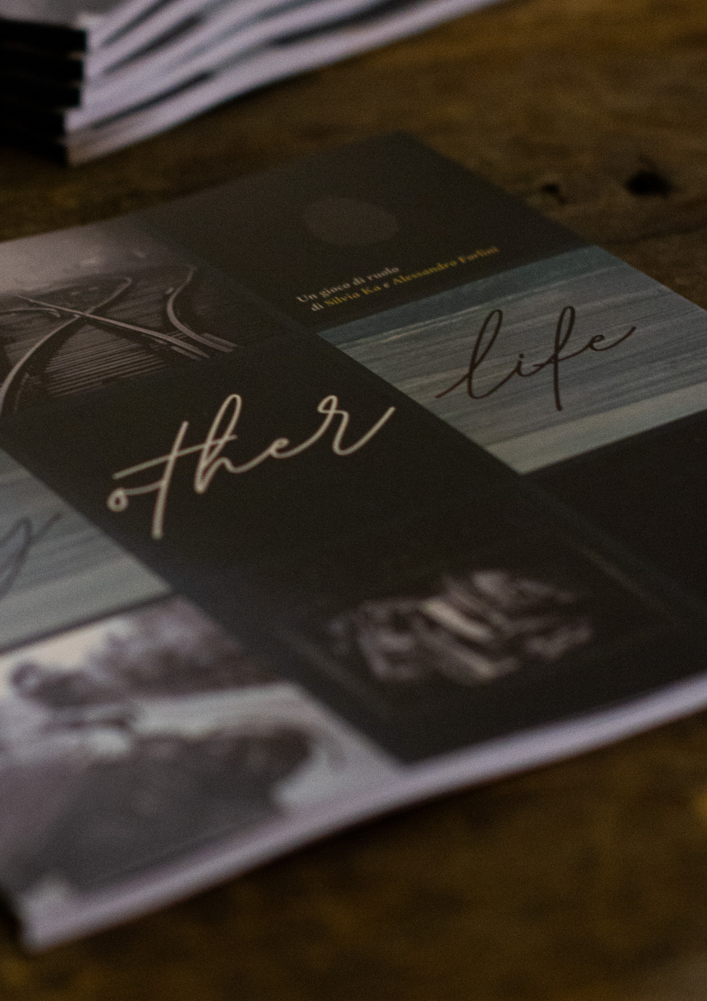 My Other Life - immagine 2